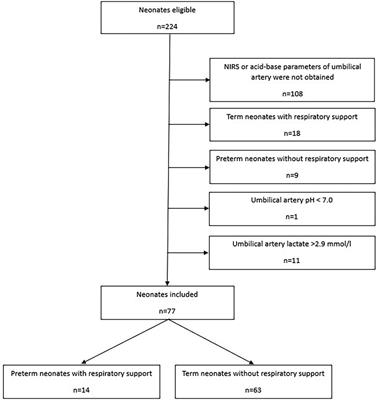 Acid base and metabolic parameters of the umbilical cord blood and cerebral oxygenation immediately after birth